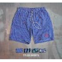 Пляжные мужские шорты TYLER(лазурный) UNCS